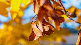 Podsumowanie mazurskiej, złotej jesieni 2024, cz. II - zdjęcie 5