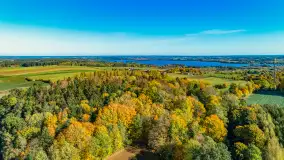 Podsumowanie mazurskiej, złotej jesieni 2024, cz. II - zdjęcie 46