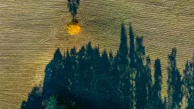 Podsumowanie mazurskiej, złotej jesieni 2024, cz. II - zdjęcie 32