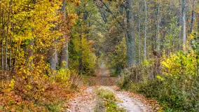 Podsumowanie mazurskiej, złotej jesieni 2024, cz. III - zdjęcie 35