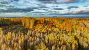 Podsumowanie mazurskiej, złotej jesieni 2024, cz. III - zdjęcie 14