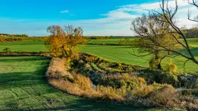 Podsumowanie mazurskiej, złotej jesieni 2024, cz. III - zdjęcie 33