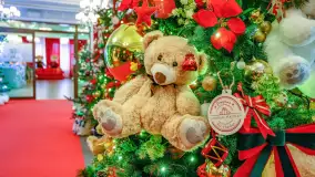 Przystań Świętego Mikołaja w Gwarku – Mazury Zimą Pełne Magii - zdjęcie 37