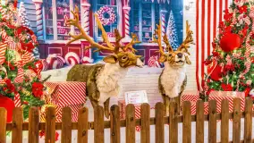 Przystań Świętego Mikołaja w Gwarku – Mazury Zimą Pełne Magii - zdjęcie 8