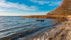 Słoneczny, późno jesienny dzień nad Niegocinem, grudzień 2024 r. - zdjęcie 4