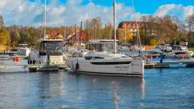 Stranda na początku listopada 2024 r. - zdjęcie 9