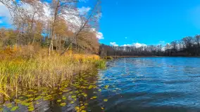 Łabędzi Ostrów w Pięknej Górze w jesiennych barwach - zdjęcie 7