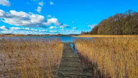 Łabędzi Ostrów w Pięknej Górze w jesiennych barwach - zdjęcie 5