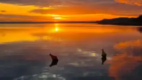 Wschód słońca PTTK Wilkasy, Niegocin, grudzień 2024 r. - zdjęcie 11