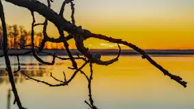 Wschód słońca nad jeziorem Dargin, most Sztynorcki, grudzień 2024 r. - zdjęcie 51