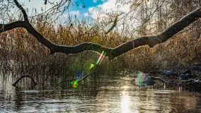 Zimowe mobilne biuro Mazury24, czyli Arek na biwaku, grudzień 2024 r. - zdjęcie 4