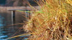 Zimowe mobilne biuro Mazury24, czyli Arek na biwaku, grudzień 2024 r. - zdjęcie 22