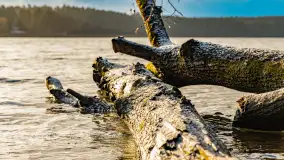 Zimowe mobilne biuro Mazury24, czyli Arek na biwaku, grudzień 2024 r. - zdjęcie 24