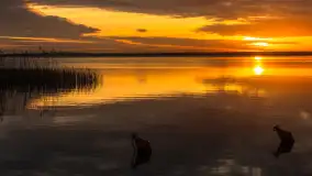 Wschód słońca nad jeziorem Niegocin w Wilkasach, grudzień 2024 r. - zdjęcie 28