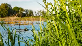 Mix mazurskich ujęć z szuflady, 2024 cz. II - zdjęcie 30