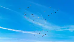 Mix mazurskich ujęć z szuflady, 2024 cz. II - zdjęcie 28