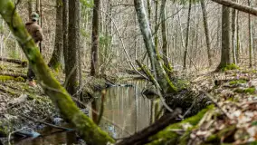 Przedwiośnie w Puszczy Boreckiej, kwiecień 2021 r. - zdjęcie 39