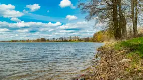 Jezioro Gawlik na początku później wiosny, maj 2021 r. - zdjęcie 16