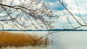 Jezioro Gawlik na początku później wiosny, maj 2021 r. - zdjęcie 15