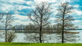 Jezioro Gawlik na początku później wiosny, maj 2021 r. - zdjęcie 22