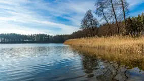 Kanał Kula i mazurska zima... bez śniegu, styczeń 2025 r. - zdjęcie 3