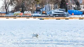 Niedzielne, zimowe popołudnie w Wilkasach nad Niegocinem, luty 2025 r. - zdjęcie 42