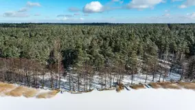 Zatoka Mrówki i jezioro Ryńkie w zimowej odsłonie, luty 2024 r. - zdjęcie 19