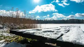 Zatoka Mrówki i jezioro Ryńkie w zimowej odsłonie, luty 2024 r. - zdjęcie 36