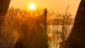 Zachód słońca nad jeziorem Tałty, luty 2025 r. - zdjęcie 21