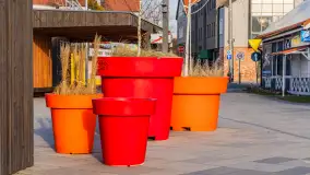 Mikołajki zimą, wersja jeszcze bez śniegu, luty 2025 r. - zdjęcie 28