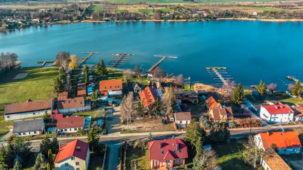 Tło dla mew w okowach zimy... ale bez śniegu, styczeń 2025 r.