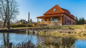 Przedwiośnie w Węgorzewie nad kanałem Młyńskim, marzec 2025 r. - zdjęcie 26