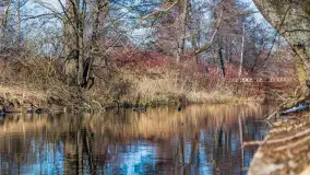 Przedwiośnie w Węgorzewie nad kanałem Młyńskim, marzec 2025 r. - zdjęcie 17