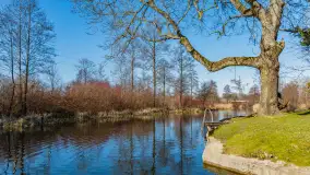 Przedwiośnie w Węgorzewie nad kanałem Młyńskim, marzec 2025 r. - zdjęcie 11