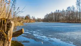 Przedwiośnie w Węgorzewie nad kanałem Młyńskim, marzec 2025 r. - zdjęcie 18