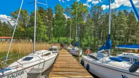 Wspominki sezonu 2022 na zdjęciach z telefonu cz. II - zdjęcie 22