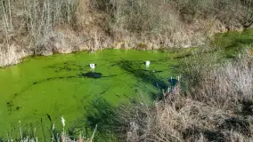 Rzeki Guber i Sajna na zdjęciach z drona, marzec 2025 r. - zdjęcie 38