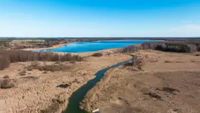 Jaz w Kwiku, marzec 2025r. - zdjęcie 4