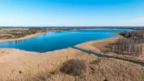 Jaz w Kwiku, marzec 2025r. - zdjęcie 9