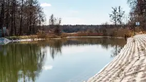 Jaz w Kwiku, marzec 2025r. - zdjęcie 13