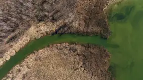 Jaz w Kwiku, marzec 2025r. - zdjęcie 28