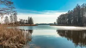 Plaża w Kleszczewie i jezioro Wojnowo, marzec 2025 r. - zdjęcie 16