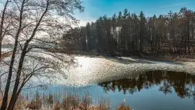 Plaża w Kleszczewie i jezioro Wojnowo, marzec 2025 r. - zdjęcie 21