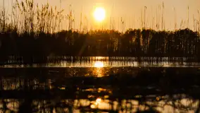 Zachód słońca w porcie Ognisty Ptak, marzec 2025r. - zdjęcie 4