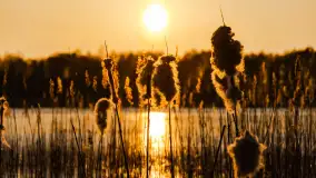 Zachód słońca w porcie Ognisty Ptak, marzec 2025r. - zdjęcie 17