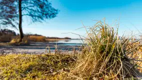 Pole biwakowe nad jeziorem Śniardwy. Okartowo, marze  2025r. - zdjęcie 23