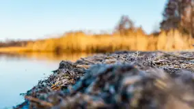 Pole biwakowe nad jeziorem Śniardwy. Okartowo, marze  2025r. - zdjęcie 2