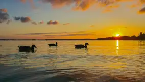 Mix ujęć z sezonu 2024 Michała cz. I - zdjęcie 29