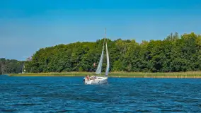 Lazy Jack spotkany podczas rejsu szkoleniowego na jeziorze Kisajno - zdjęcie 2