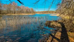 Rezerwat Przyrody Krutynia na wiosennych ujęciach, kwiecień 2025 r. - zdjęcie 12